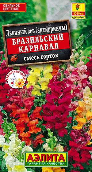 картинка Львиный зев Бразильский карнавал, смесь 0,1г ц/п (Аэлита) магазин Одежда+ являющийся официальным дистрибьютором в России 