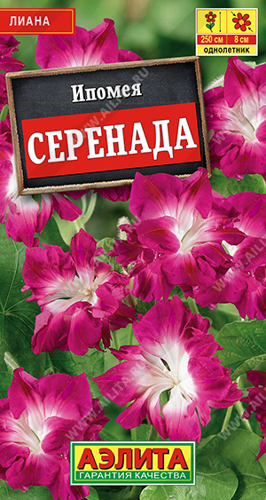 картинка Ипомея Серенада махровая 0,2г ц/п (Аэлита) магазин Одежда+ являющийся официальным дистрибьютором в России 