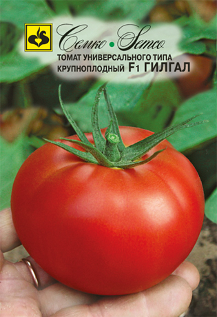 Томат Гилгал F1 5шт (Семко) биф-томат,инд, масса 300г 