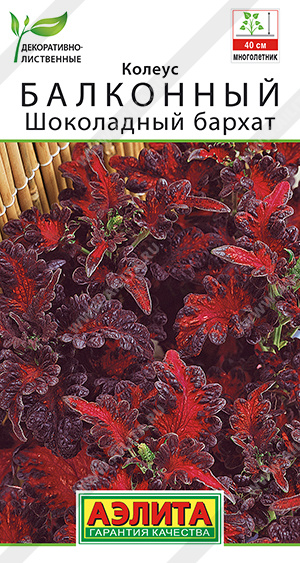 картинка Колеус Шоколадный бархат 5шт ц/п (Аэлита)  магазин Одежда+ являющийся официальным дистрибьютором в России 