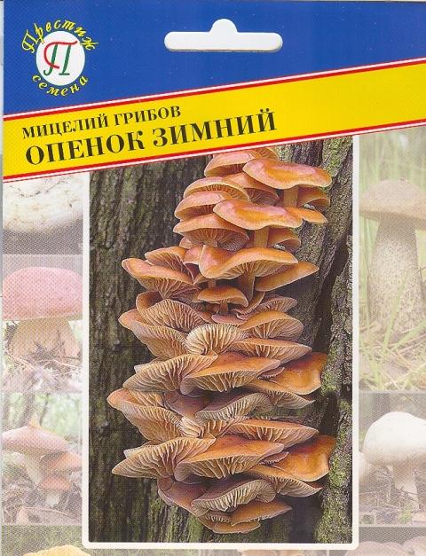 Мицелий грибов Опенок зимний, 12 палочек (Престиж) 