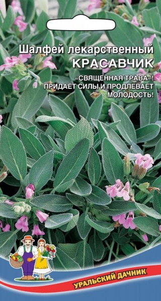 картинка Шалфей Красавчик ц/п (УД) магазин Одежда+ являющийся официальным дистрибьютором в России 