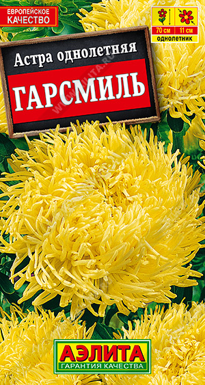 картинка Астра Гарсмиль 0,2г ц/п (Аэлита) магазин Одежда+ являющийся официальным дистрибьютором в России 