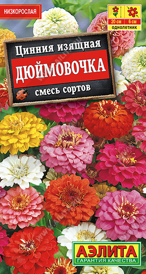 картинка Цинния Дюймовочка 0,3г ц/п (Аэлита) 30см,махровая смесь магазин Одежда+ являющийся официальным дистрибьютором в России 