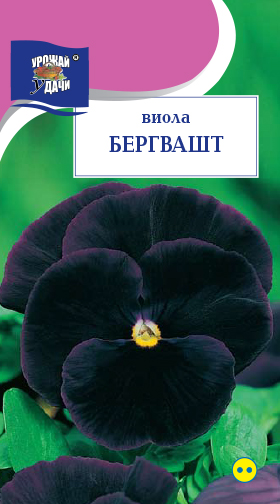 картинка Виола Бергвашт 0,1г ц/п (УУ) магазин Одежда+ являющийся официальным дистрибьютором в России 