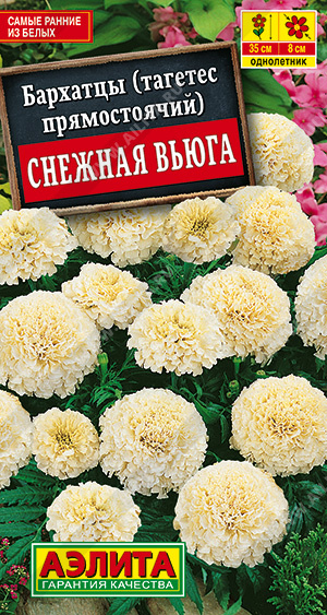 картинка Бархатцы Снежная вьюга ц/п (Аэлита) Новинка магазин Одежда+ являющийся официальным дистрибьютором в России 