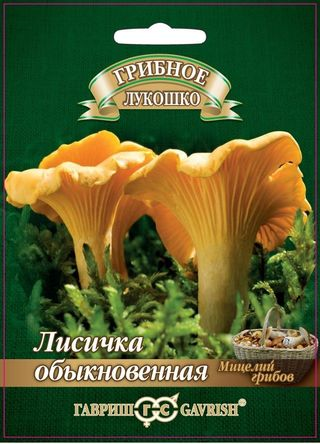 картинка Мицелий грибов Лисички 15мл ц/п (Гавриш) магазин Одежда+ являющийся официальным дистрибьютором в России 