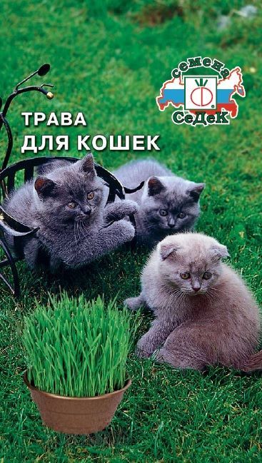 картинка Трава для кошек 10г ц/п (Седек) магазин Одежда+ являющийся официальным дистрибьютором в России 
