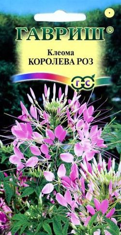 картинка Клеома Королева роз ц/п (Гавриш) магазин Одежда+ являющийся официальным дистрибьютором в России 