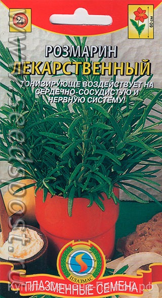 картинка Розмарин Лекарственный 20шт ц/п (ПлазмаС) магазин Одежда+ являющийся официальным дистрибьютором в России 