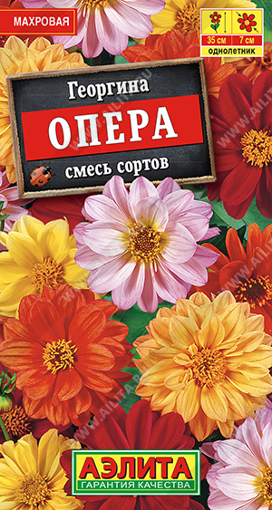 картинка Георгина Отелло, смесь 7шт ц/п (Аэлита)  магазин Одежда+ являющийся официальным дистрибьютором в России 