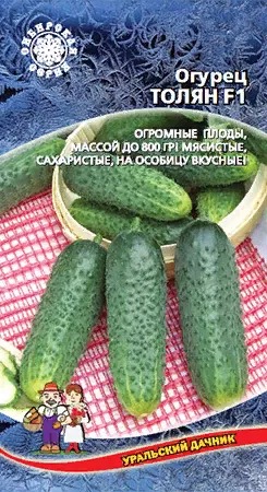 картинка Огурец Толян F1 10шт ц/п (УД) магазин Одежда+ являющийся официальным дистрибьютором в России 