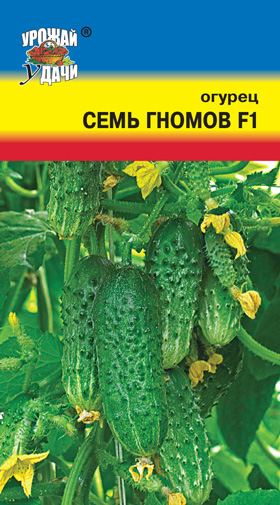 картинка Огурец Семь гномов F1 0,25г ц/п (УУ) ранн,партенок,9-10см магазин Одежда+ являющийся официальным дистрибьютором в России 