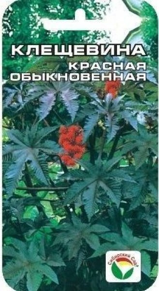 картинка Клещевина Красная обыкновенная 5шт (СибСад) магазин Одежда+ являющийся официальным дистрибьютором в России 