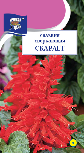 картинка Сальвия Скарлет 0,1г ц/п (УУ) 30см магазин Одежда+ являющийся официальным дистрибьютором в России 