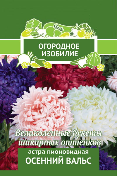 картинка Астра Осенний вальс 0,3г лид/п (Поиск) Огород.изобилие магазин Одежда+ являющийся официальным дистрибьютором в России 
