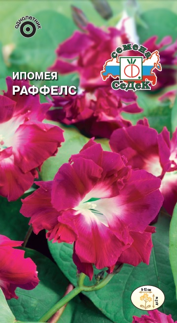 картинка Ипомея Раффелс (Империалс) 0,1г ц/п (Седек) магазин Одежда+ являющийся официальным дистрибьютором в России 