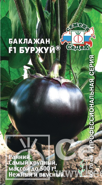 картинка Баклажан Буржуй F1 0,2г ц/п (Седек) ранний,500г,круглый магазин Одежда+ являющийся официальным дистрибьютором в России 