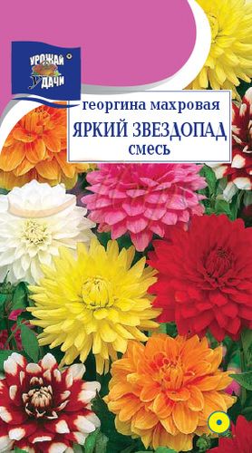 картинка Георгина Яркий звездопад, смесь махровая 0,2г ц/п (УУ) магазин Одежда+ являющийся официальным дистрибьютором в России 