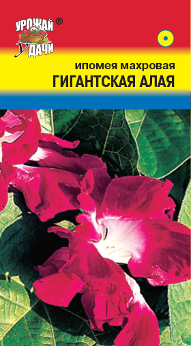 картинка Ипомея Гигантская Алая 0,2г ц/п (УУ) магазин Одежда+ являющийся официальным дистрибьютором в России 