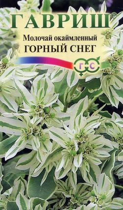 картинка Молочай Горный снег окаймленный 0,5г ц/п (Гавриш) магазин Одежда+ являющийся официальным дистрибьютором в России 