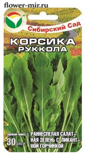 картинка Рукола Корсика 0,5г (СибСад) магазин Одежда+ являющийся официальным дистрибьютором в России 