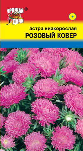 картинка Астра Розовый ковер 0,2г ц/п (УУ) магазин Одежда+ являющийся официальным дистрибьютором в России 