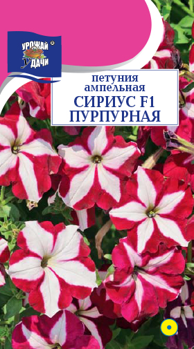 картинка Петуния Сириус Пурпурная F1 10шт ц/п (УУ) ампел. магазин Одежда+ являющийся официальным дистрибьютором в России 