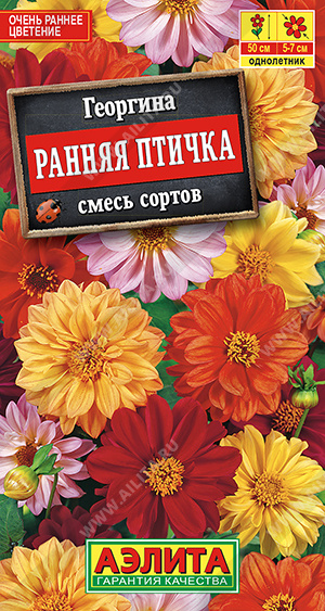 картинка Георгина Ранняя птичка, смесь 0,3г ц/п (Аэлита) 50см магазин Одежда+ являющийся официальным дистрибьютором в России 