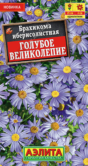 картинка Брахикома Голубое великолепие 0,05г ц/п *(Аэлита) магазин Одежда+ являющийся официальным дистрибьютором в России 
