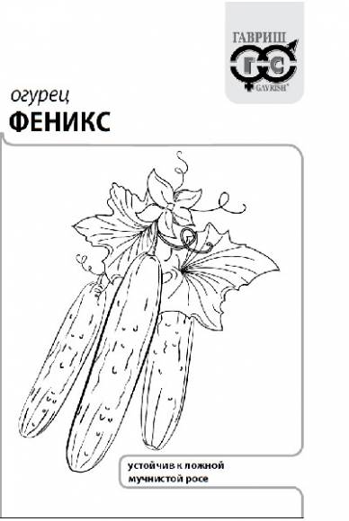 картинка Огурец Феникс 0,5г б/п (Гавриш) магазин Одежда+ являющийся официальным дистрибьютором в России 