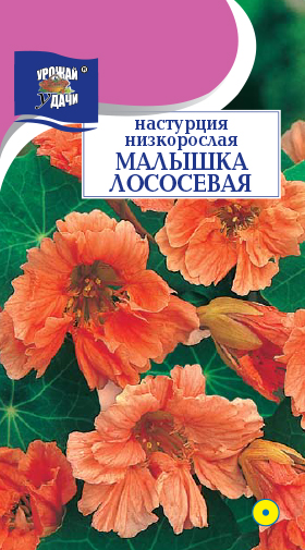 картинка Настурция Малышка Лососевая 1г ц/п (УУ) кустовая магазин Одежда+ являющийся официальным дистрибьютором в России 