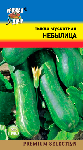 картинка Тыква Небылица мускатная 1г ц/п (УУ) магазин Одежда+ являющийся официальным дистрибьютором в России 