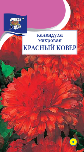 картинка Календула Красный ковер махровая 0,3г ц/п (УУ) магазин Одежда+ являющийся официальным дистрибьютором в России 