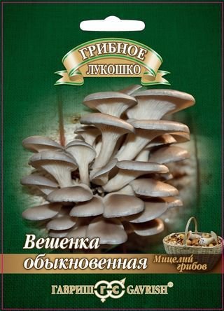 картинка Мицелий грибов Вешенка Обыкновенная 12шт ц/п (Гавриш) магазин Одежда+ являющийся официальным дистрибьютором в России 