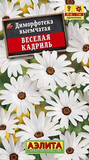 картинка Диморфотека Веселая кадриль 0,2г ц/п (Аэлита) магазин Одежда+ являющийся официальным дистрибьютором в России 