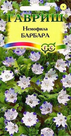 картинка Немофила Барбара пятнистая 0,3г ц/п (Гавриш)  магазин Одежда+ являющийся официальным дистрибьютором в России 