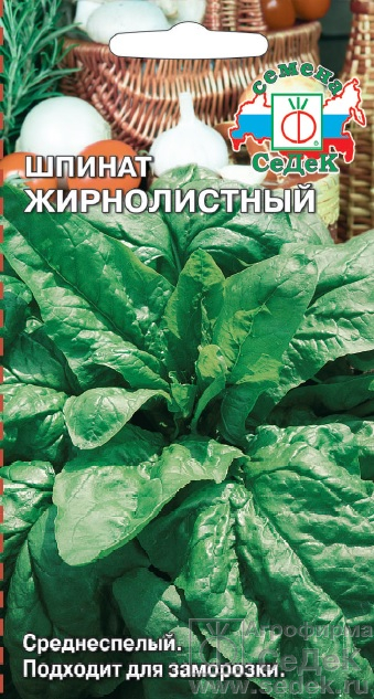 картинка Шпинат Жирнолистный 2г ц/п (Седек) магазин Одежда+ являющийся официальным дистрибьютором в России 