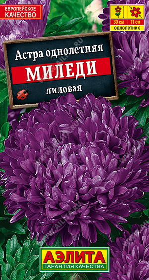 картинка Астра Миледи лиловая 0,2г ц/п (Аэлита) магазин Одежда+ являющийся официальным дистрибьютором в России 