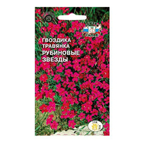 картинка Гвоздика травянка Рубиновые звезды 0,2г ц/п (Седек) магазин Одежда+ являющийся официальным дистрибьютором в России 