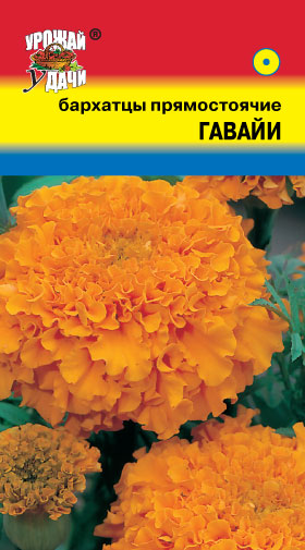 картинка Бархатцы Гавайи 0,3г ц/п (УУ) прямостоячие 90см/10см магазин Одежда+ являющийся официальным дистрибьютором в России 