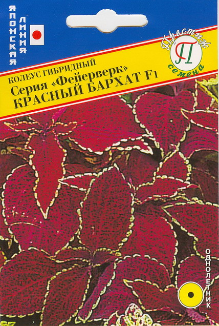 картинка Колеус Фейерверк Красный Бархат F1 10шт (Престиж) магазин Одежда+ являющийся официальным дистрибьютором в России 