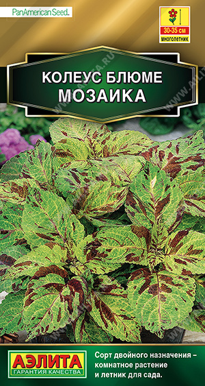 картинка Колеус Мозаика блюме 10шт ц/п (Аэлита) магазин Одежда+ являющийся официальным дистрибьютором в России 