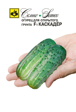 картинка Огурец Каскадер F1 1г (Семко) пчелоопыл магазин Одежда+ являющийся официальным дистрибьютором в России 