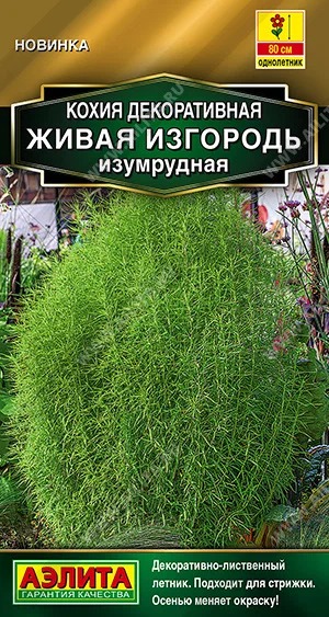 картинка Кохия Живая изгородь Изумрудная 0,1г ц/п (Аэлита) Новинка магазин Одежда+ являющийся официальным дистрибьютором в России 