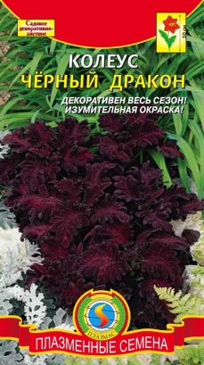 картинка Колеус Черный дракон 10шт ц/п (ПлазмаС) магазин Одежда+ являющийся официальным дистрибьютором в России 