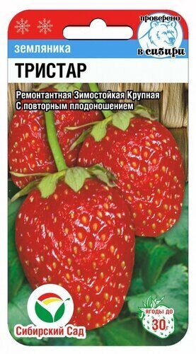 картинка Земляника Тристар 10шт (СибСад) ремонтантная,до 30г магазин Одежда+ являющийся официальным дистрибьютором в России 