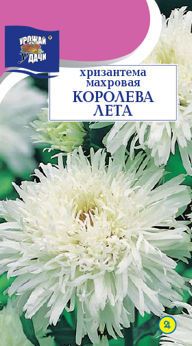 картинка Хризантема Королева лета 0,03г ц/п (УУ)  магазин Одежда+ являющийся официальным дистрибьютором в России 