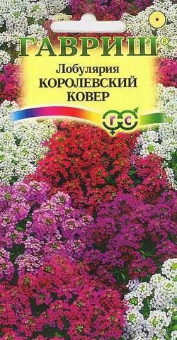 картинка Лобулярия Королевский ковер 0,05г ц/п (Гавриш) Сад ароматов магазин Одежда+ являющийся официальным дистрибьютором в России 
