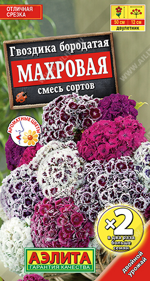 картинка Гвоздика Махровая смесь 0,2г ц/пХ2 (Аэлита)  магазин Одежда+ являющийся официальным дистрибьютором в России 